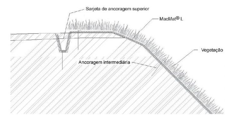 Representación esquemática