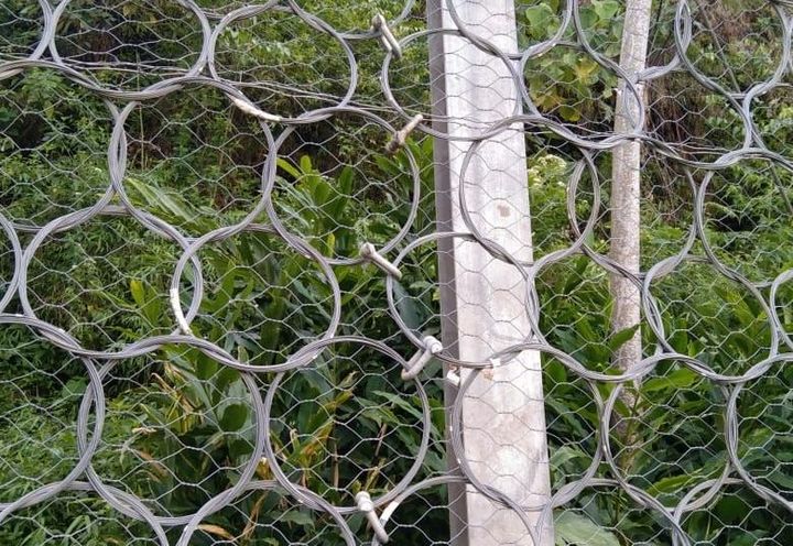 Close up view of the barrier