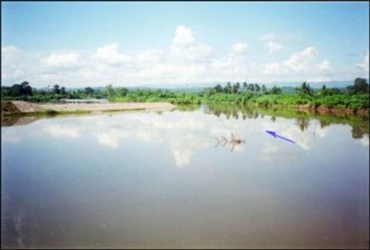 Durante la obra