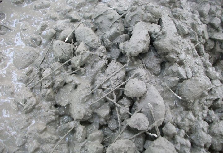 DSCF0663