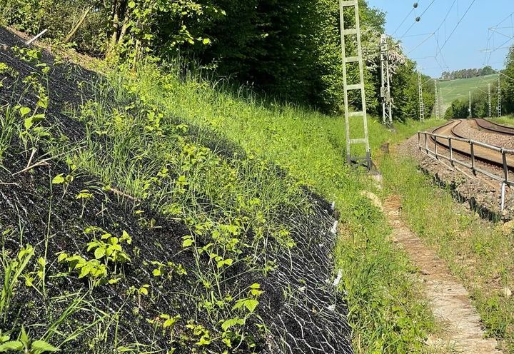 Slope re-greening