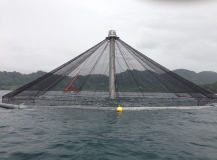 Offshore Aquaculture_3.jpg