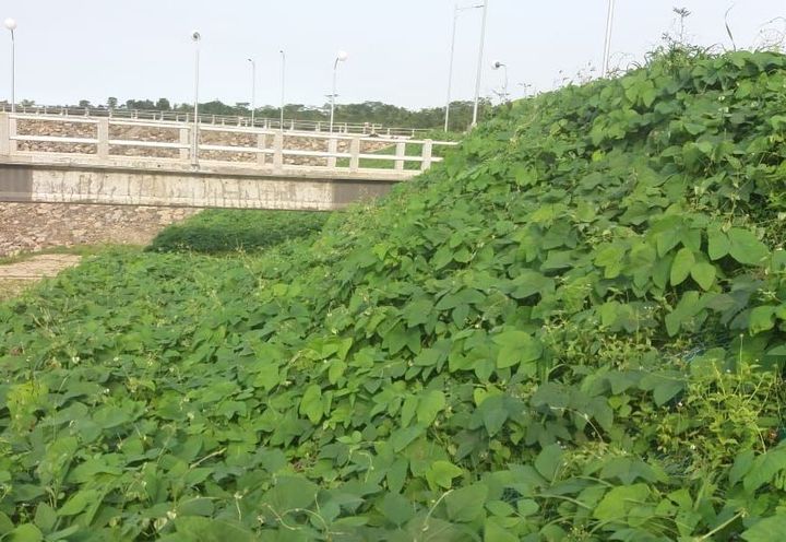 SINDANGHEULA DAM_1