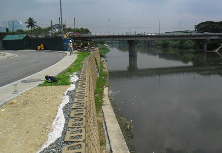 CIRCULO VERDE_2