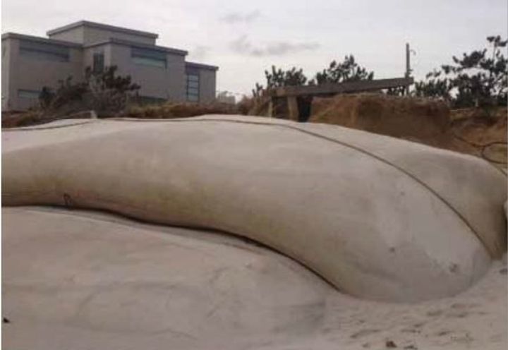 Exposed, but intact, MacTubes® post Super Storm Sandy