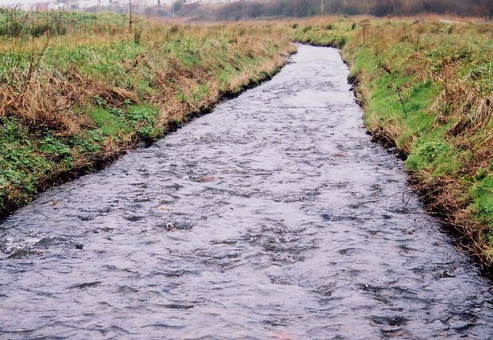 18 months after construction, vegetation has established well