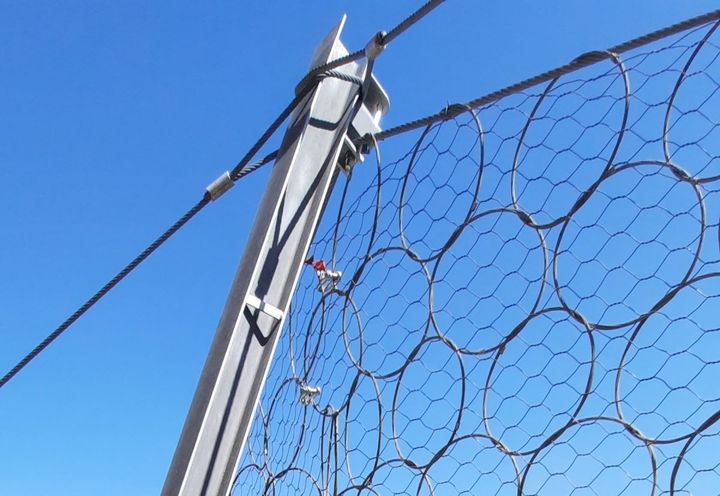 Detail of post and interception membrane