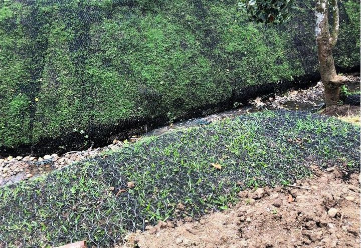 KASA LUNTIAN IN TAGAYTAY CREEK REVETMENT PROTECTION_1
