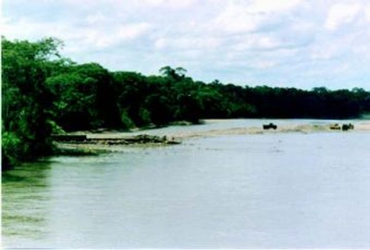 RIO CHIMORE_1