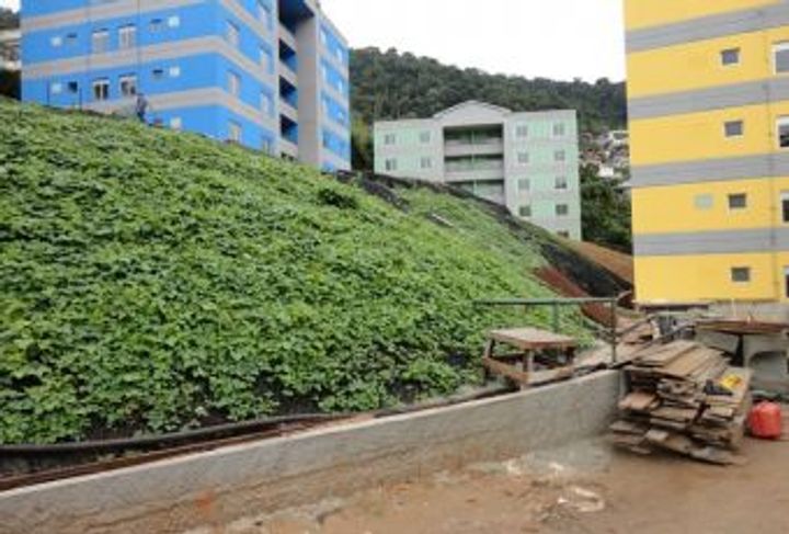 SUELO GRAPADO VERDE_2