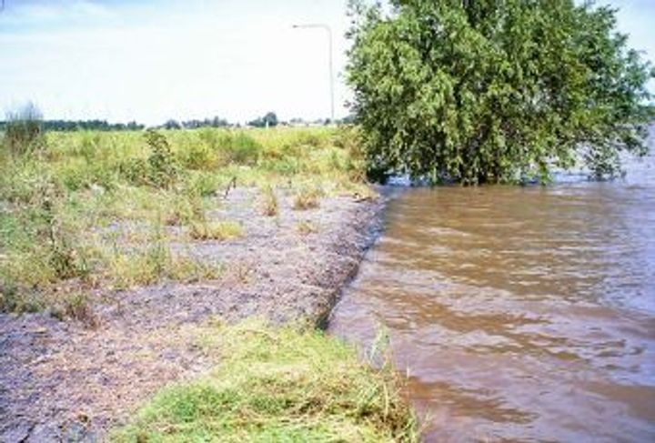CIUDAD FEDERACIÓN_1
