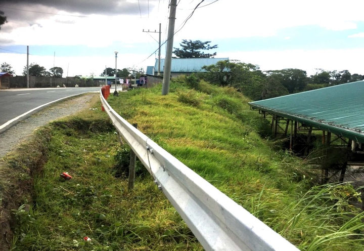 Project Completely Vegetated