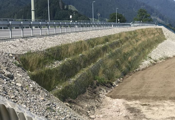 After installation: regreening of the slope