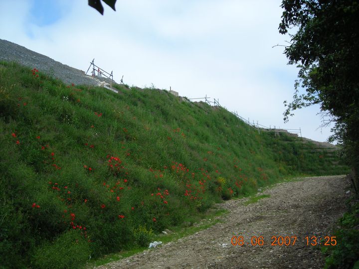  Green Terramesh reinforced vegetated