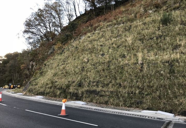 Vegetated slope—Autumn 2018