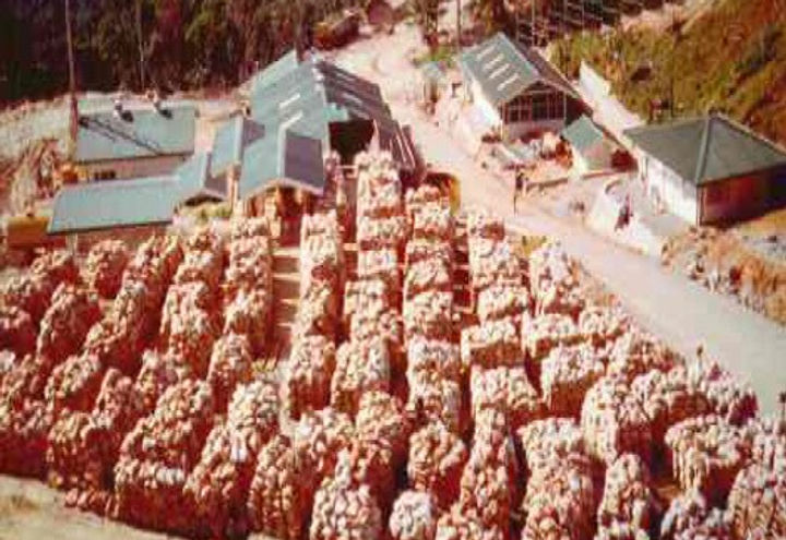 TVIRD CANATUAN MINE_0