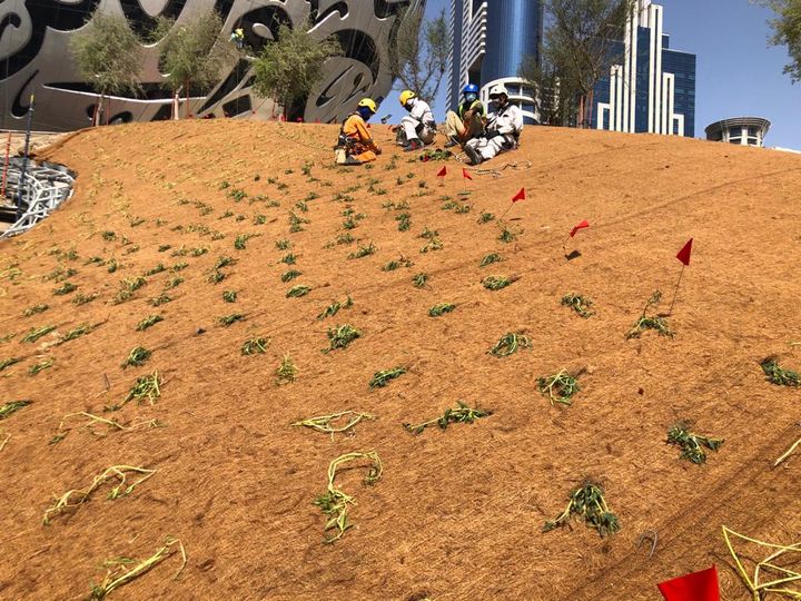 BioMac installation and plantation works