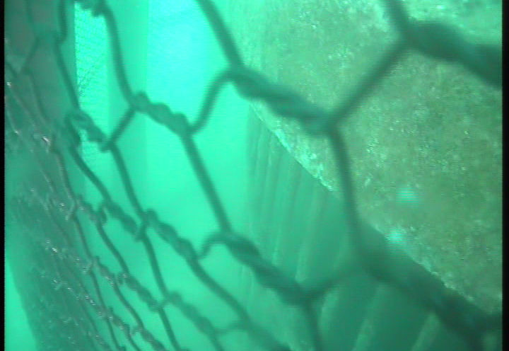 Kikkonet Underwater