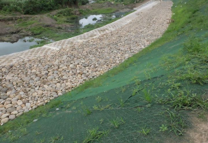 Vegetation has established after construction.