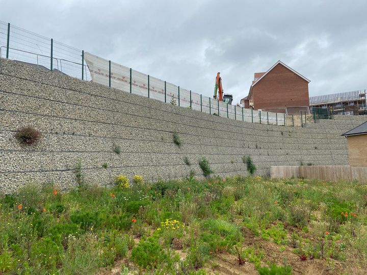  Mineral Terramesh 3 years after construction