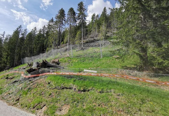 OPERE DI DIFESA - "LIVINALLONGO DEL COL DI LANA/STRADA PALLA-AGAI"