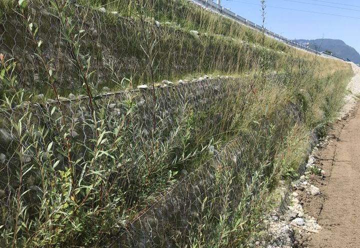 After installation: regreening of the slope