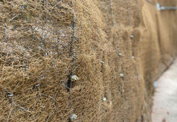 Detalle de la conexión longitudinal de solape