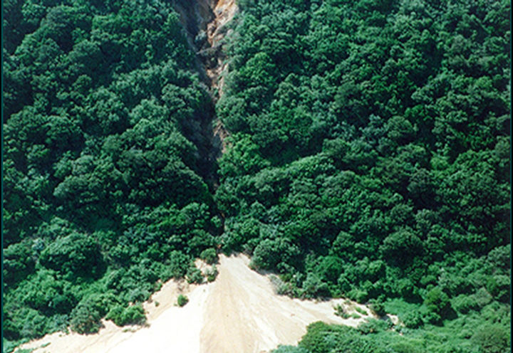 BLUFF LANDSLIP REPAIR_2