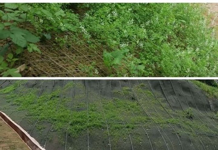 Figure 1 :Hydroseeding Application