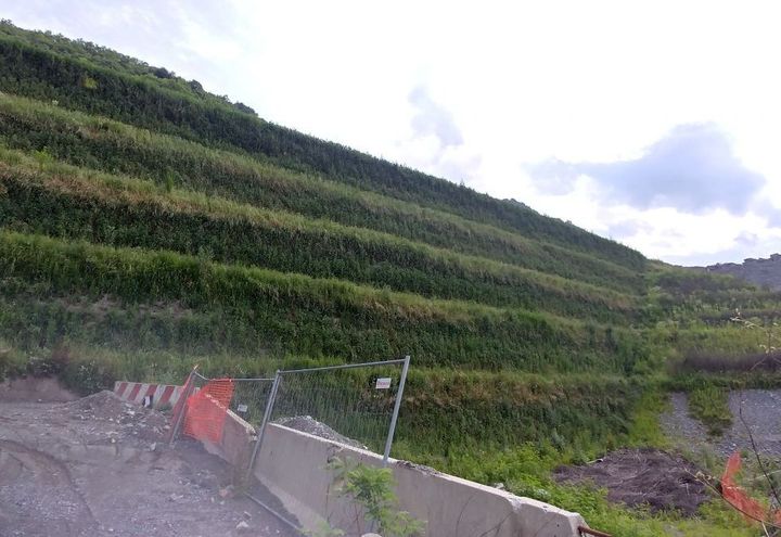 Vista laterale del rilevato in terra rinforzata con paramento verde e geogriglie