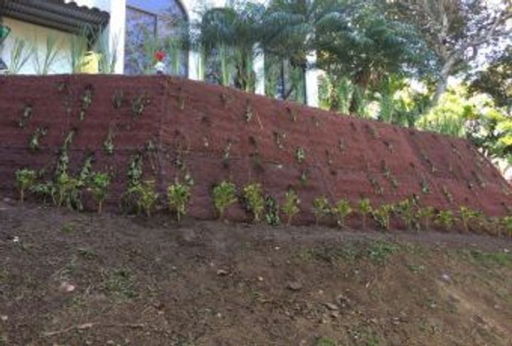 RESIDENCIA H11, ECO RESIDENCIAL VILLA REAL_3