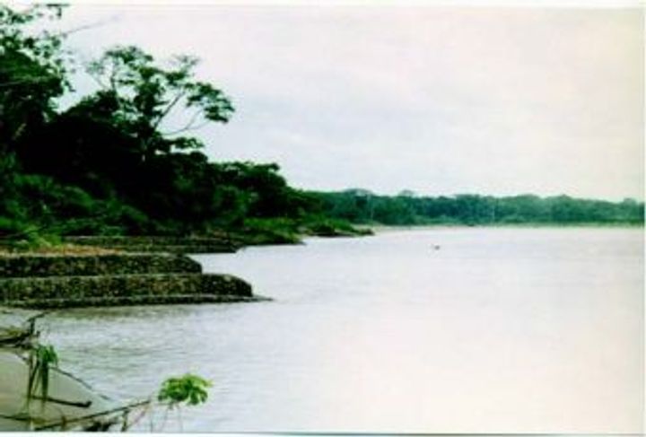 RIO CHIMORE_5