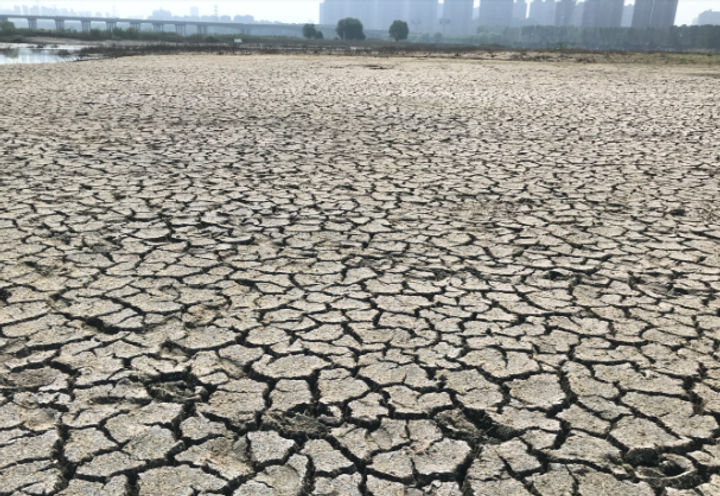 河滩淤泥易失水干裂