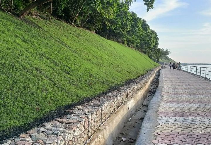 Vegetation establishment over MacMat R installed slope