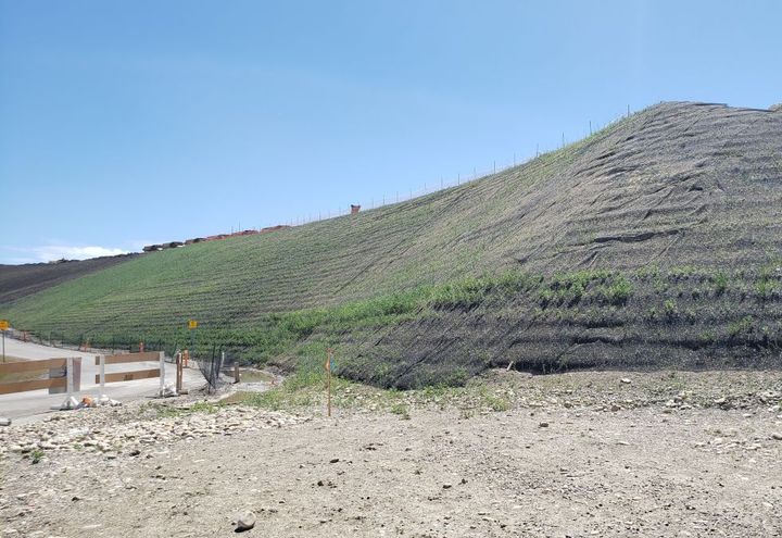 Vegetated