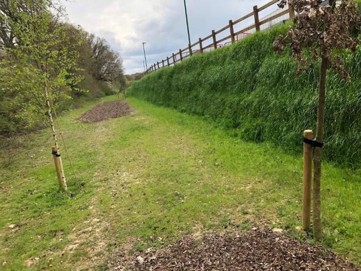  Green Terramesh slope - vegetation established