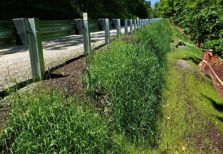 Green Terramesh® fully vegetated, June 2021