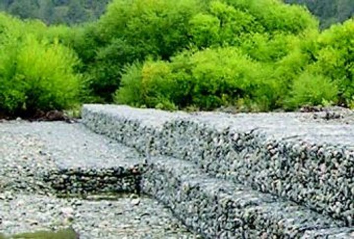 RÍO AZUL_5