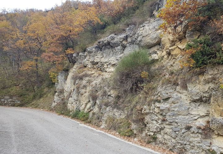 Vista scarpata oggetto di intervento