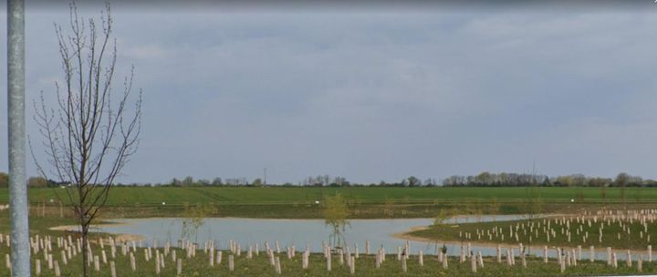  Lagoon with vegetation and habitats establishing