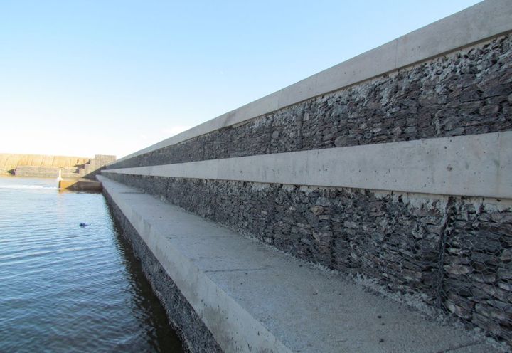 RESTORATION OF RAMSAR SITE - RIO DESAGUADERO 