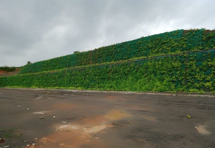 Vegetation Growth