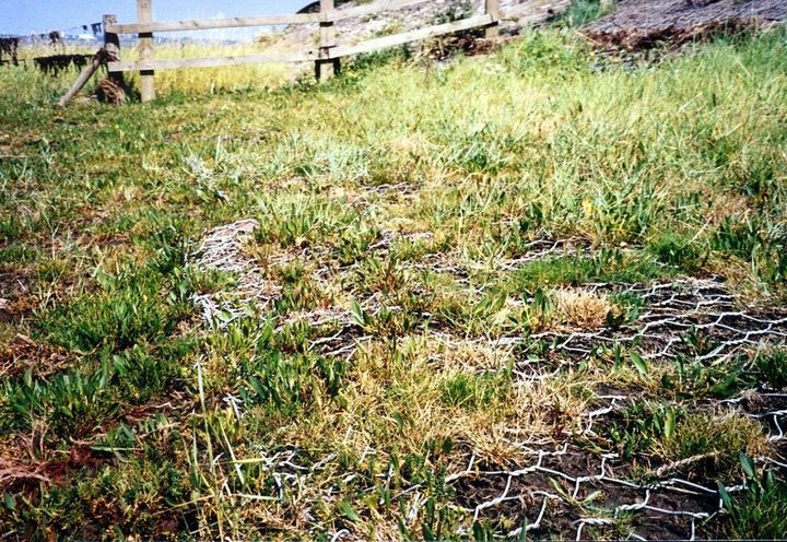 SSSI established in the Geomac