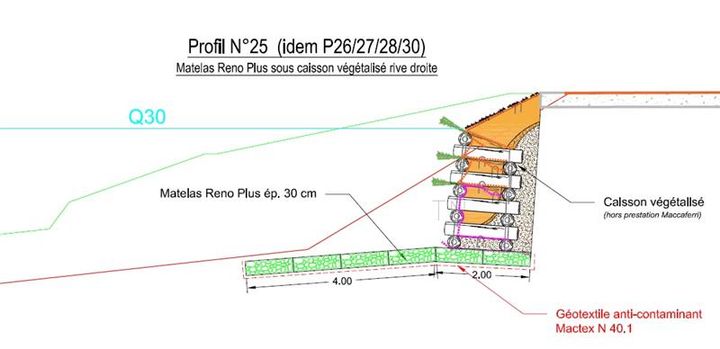 Coupe type de Matelas Reno® Plus sous des caissons végétalisés en rive droite