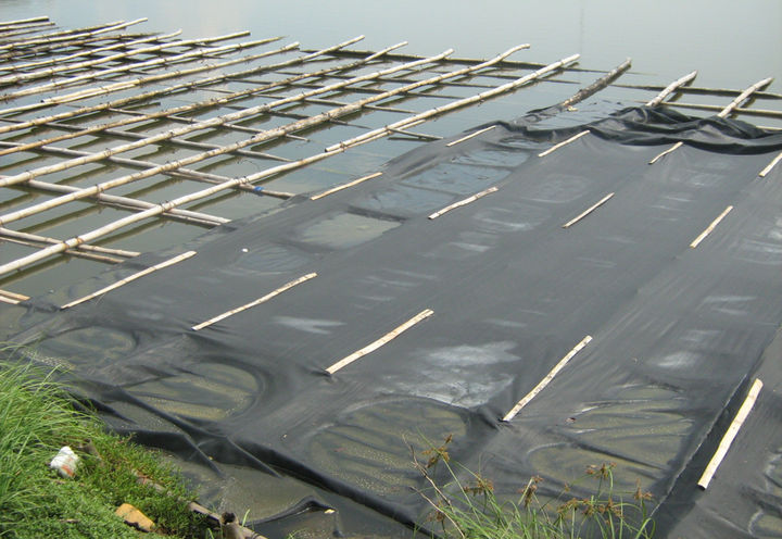 CAMANAVA FLOOD WALL_1