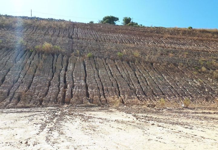 Detalle cárcavas existentes en el talud