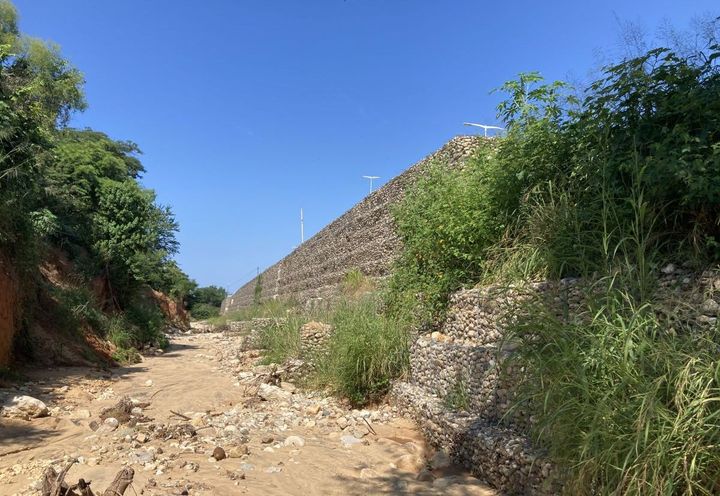 Greening of the area