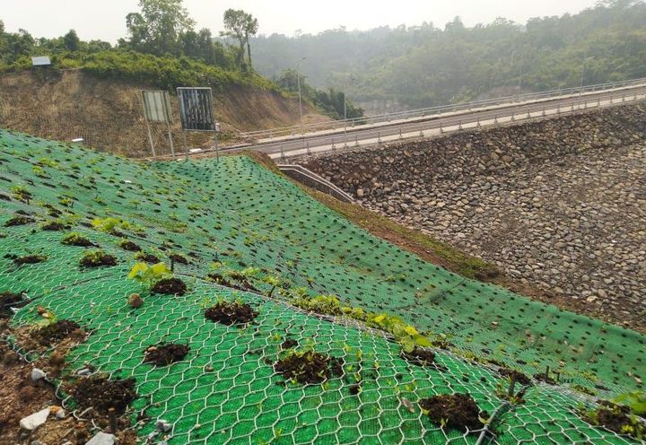 Macmat HS + Vegetation Installed