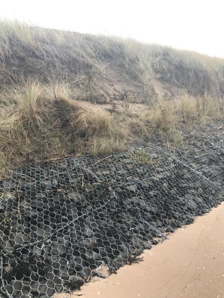 Vegetation established 