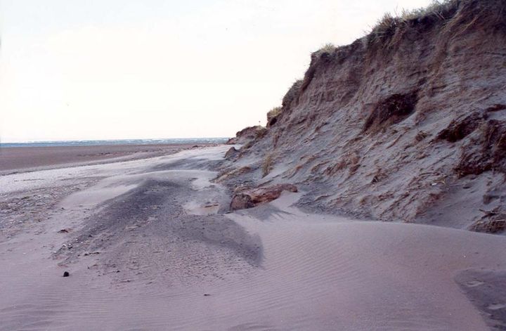 Before Construction 